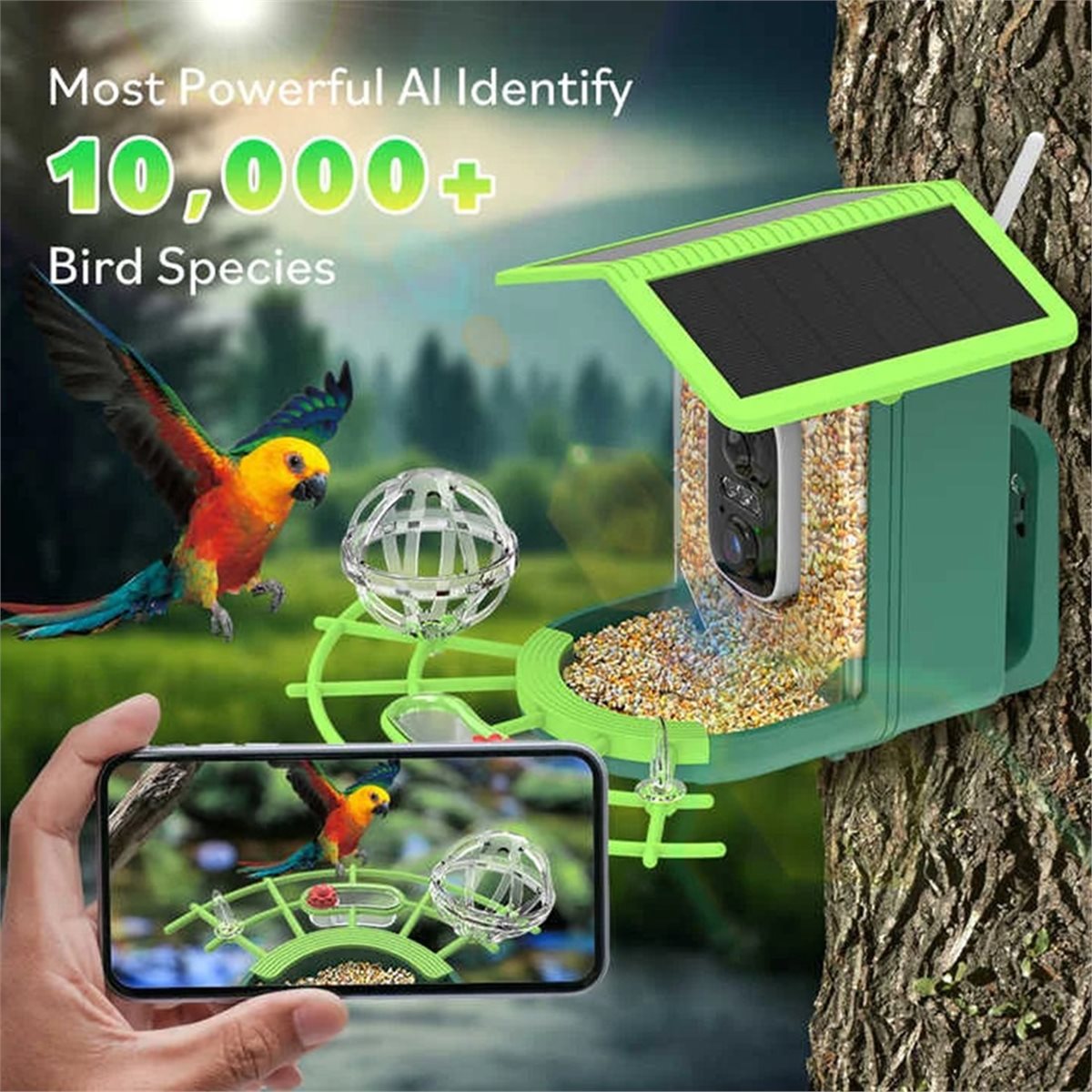 ABPP Akıllı Kuş Besleyici Kame - Power Tools Ai incelemesi ve fiyatı
